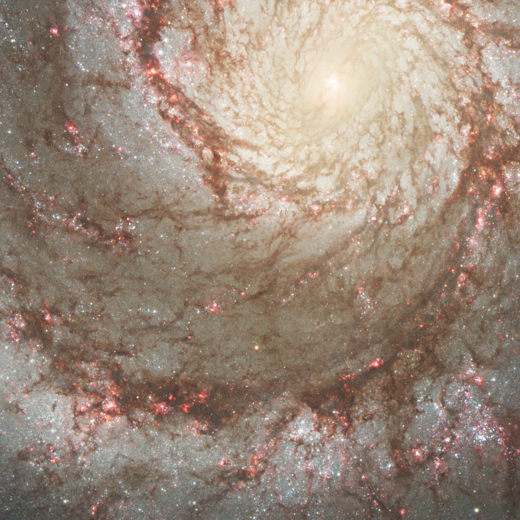 2019-01-19 whirlpool galaxy