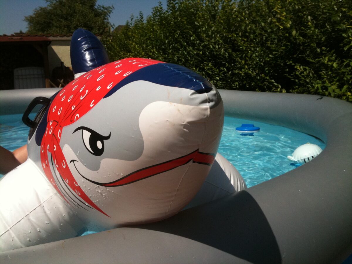 Shark in tha Pool